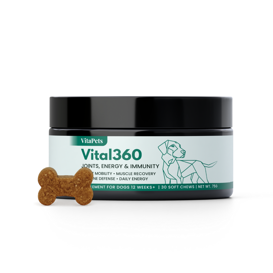 Vital360™狗狗全效關節活力軟粒