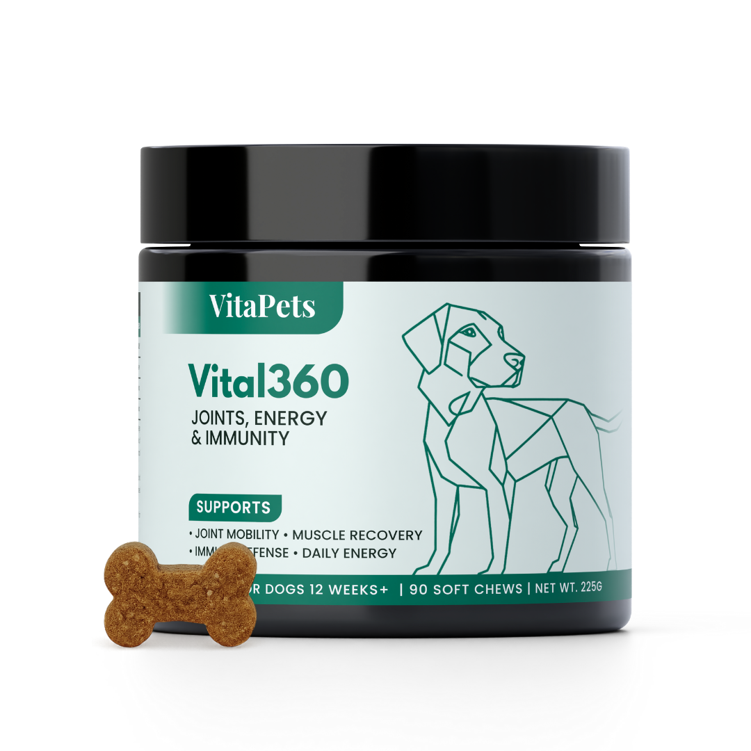Vital360™狗狗全效關節活力軟粒