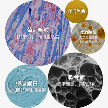 Vital360™狗狗全效關節活力軟粒