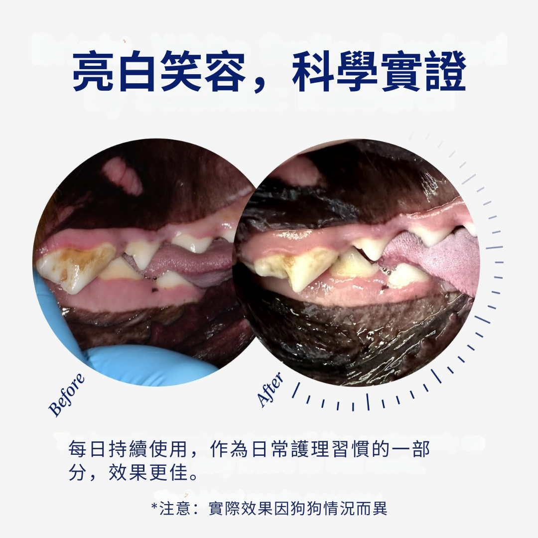 ProClean™狗狗天然潔牙護齒配方