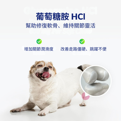 Vital360™狗狗全效關節活力軟粒