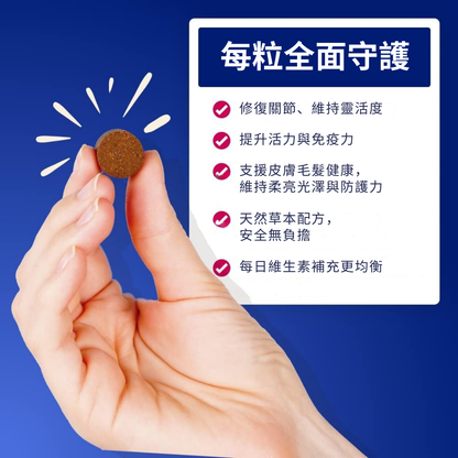 Vital360™狗狗全效關節活力軟粒